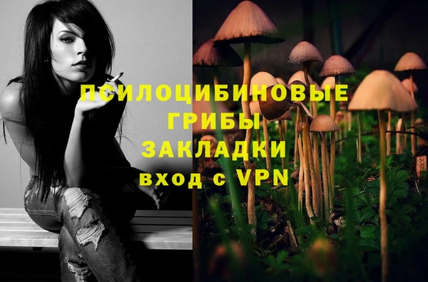 мяу мяу мука Армянск