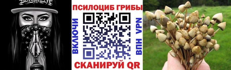 Галлюциногенные грибы мухоморы  даркнет сайт  Родники 
