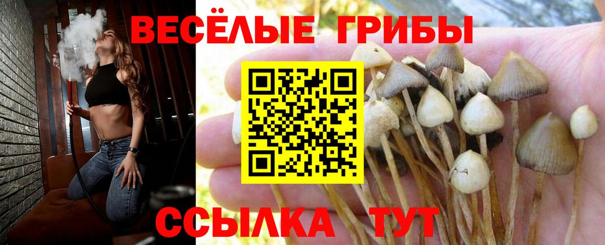 Псилоцибиновые грибы Magic Shrooms  Псилоцибиновые грибы GOLDEN TEACHER  Вход с VPN  Родники 